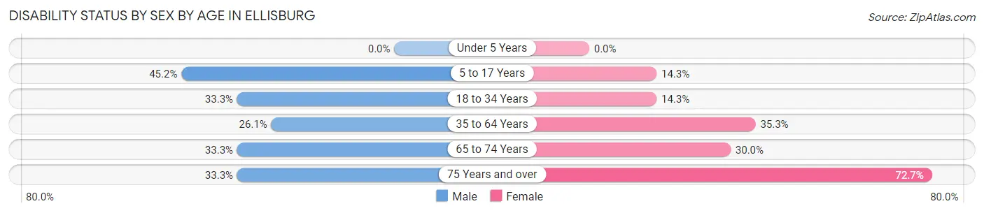 Disability Status by Sex by Age in Ellisburg