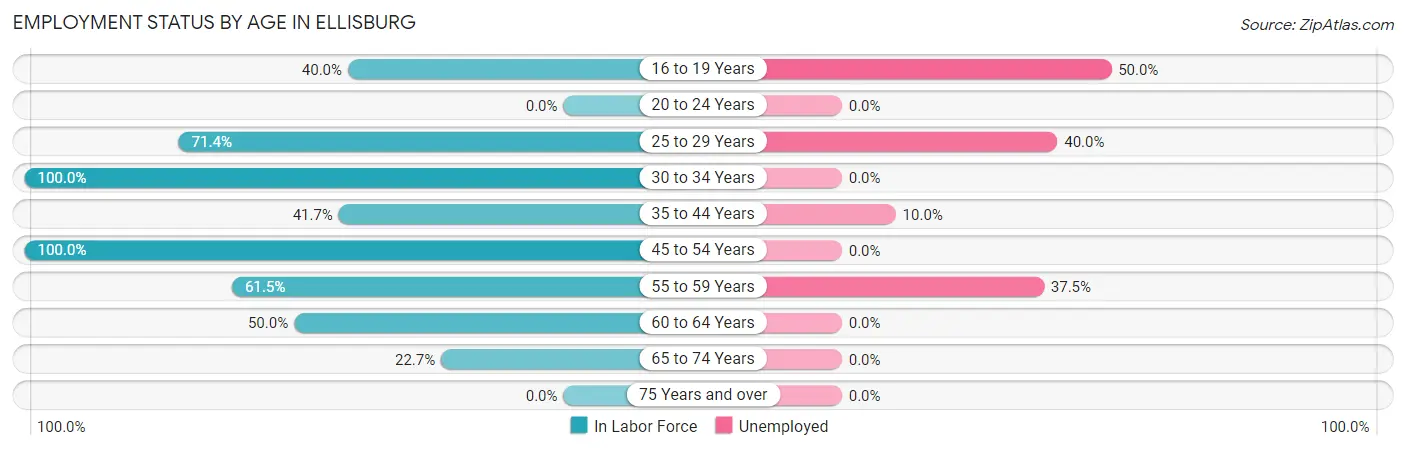 Employment Status by Age in Ellisburg