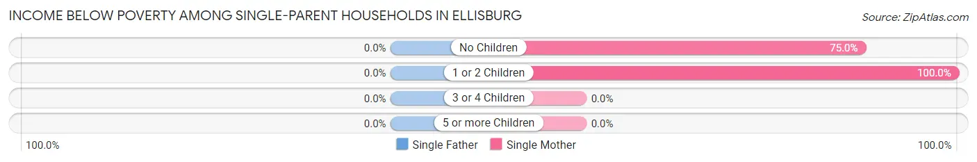 Income Below Poverty Among Single-Parent Households in Ellisburg