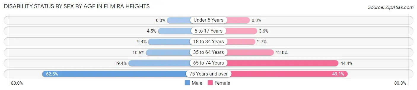 Disability Status by Sex by Age in Elmira Heights