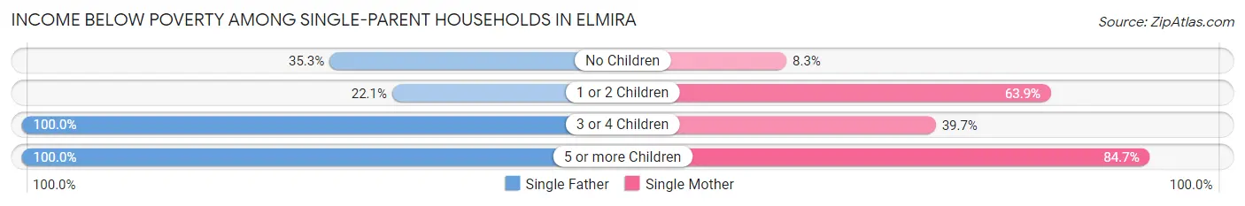 Income Below Poverty Among Single-Parent Households in Elmira