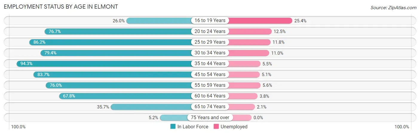 Employment Status by Age in Elmont