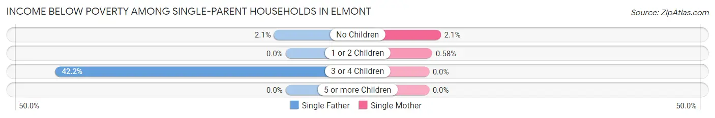 Income Below Poverty Among Single-Parent Households in Elmont
