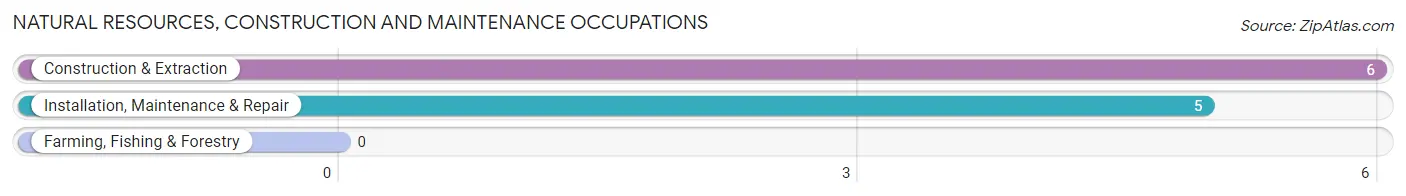 Natural Resources, Construction and Maintenance Occupations in Erin