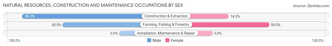 Natural Resources, Construction and Maintenance Occupations by Sex in Fabius