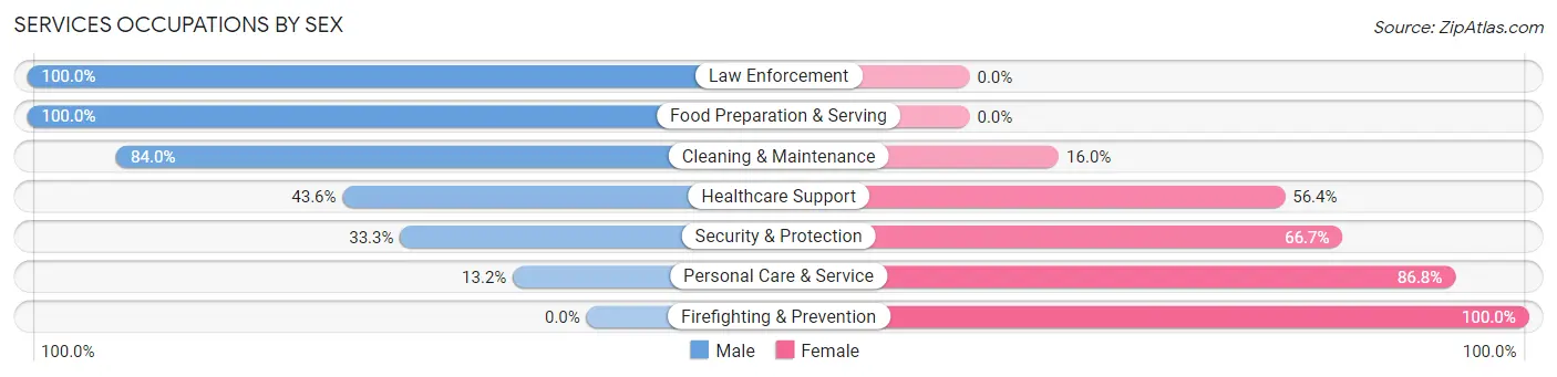 Services Occupations by Sex in Fairview CDP Dutchess County