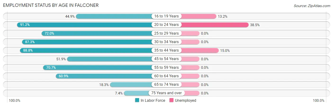 Employment Status by Age in Falconer