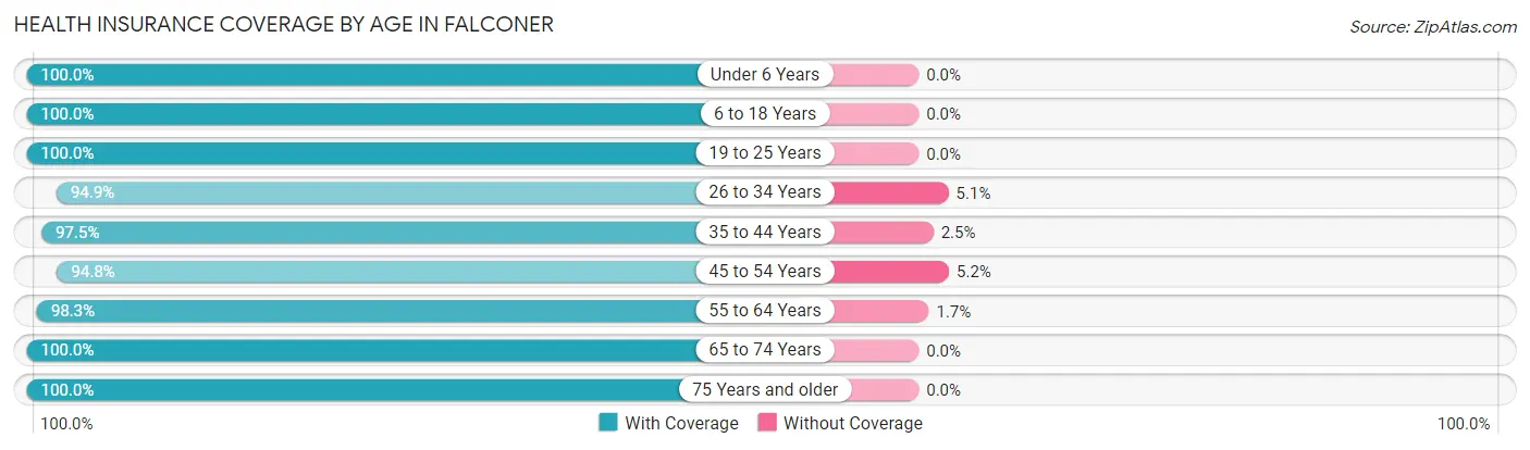 Health Insurance Coverage by Age in Falconer