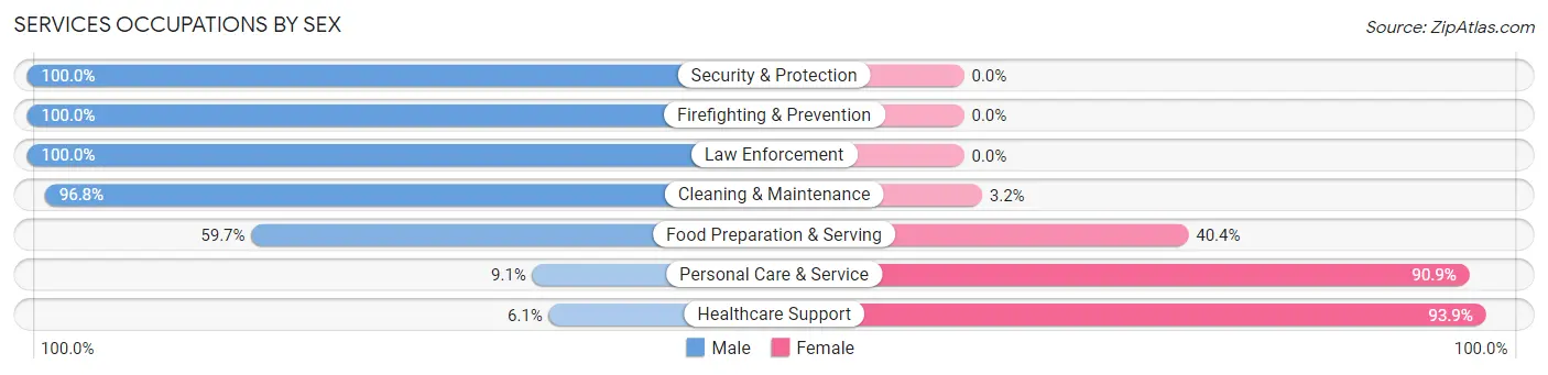 Services Occupations by Sex in Farmingdale