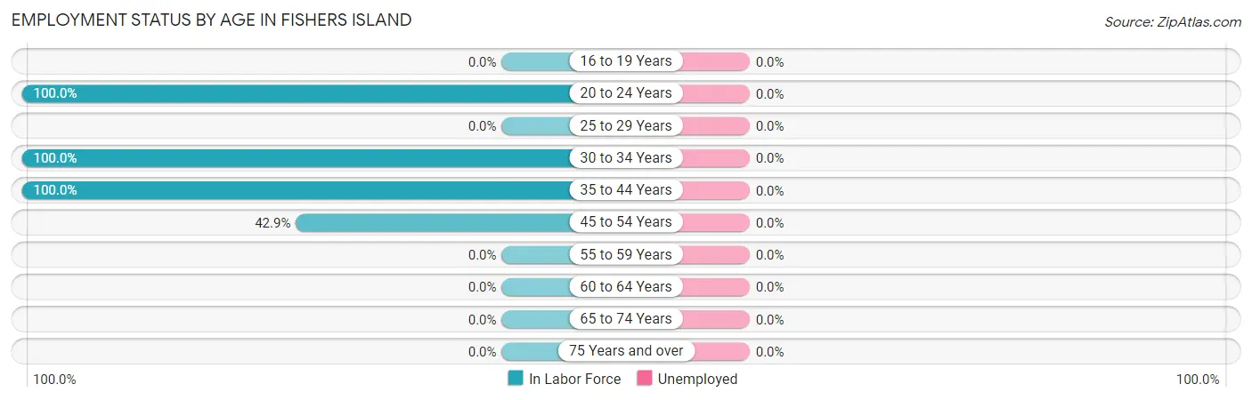 Employment Status by Age in Fishers Island