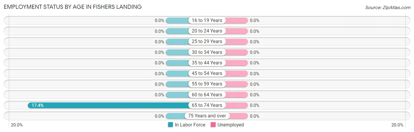 Employment Status by Age in Fishers Landing