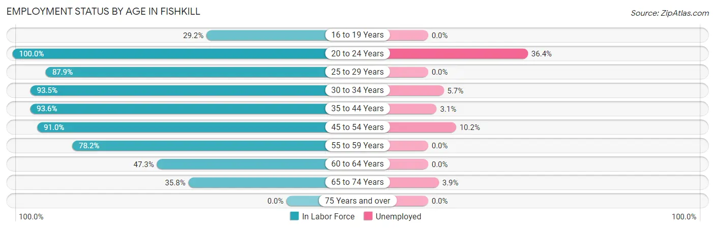 Employment Status by Age in Fishkill