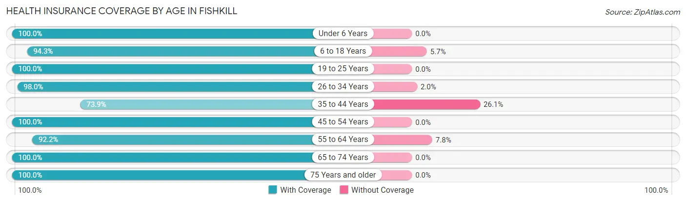 Health Insurance Coverage by Age in Fishkill