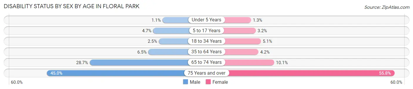 Disability Status by Sex by Age in Floral Park