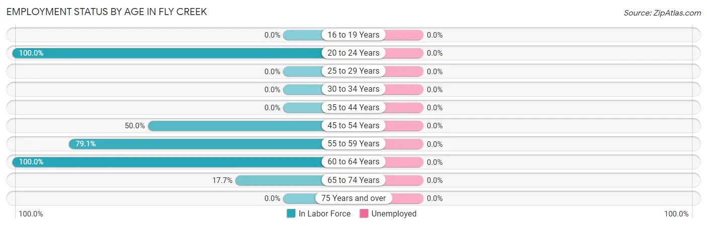 Employment Status by Age in Fly Creek