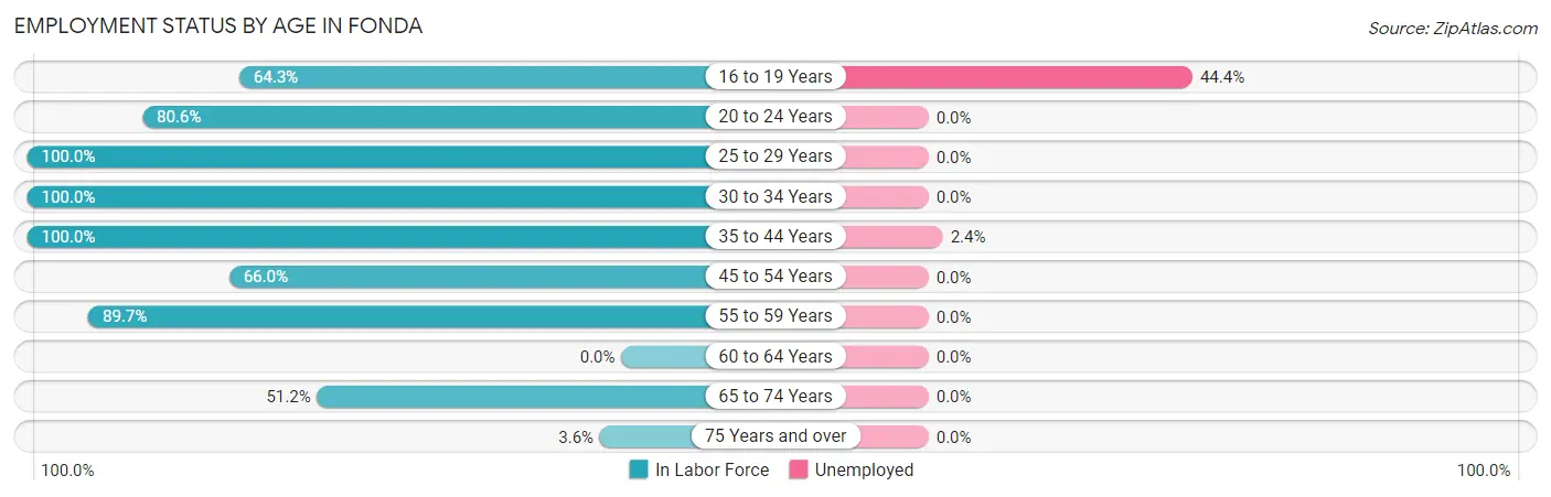 Employment Status by Age in Fonda