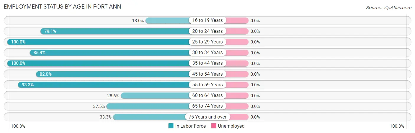Employment Status by Age in Fort Ann