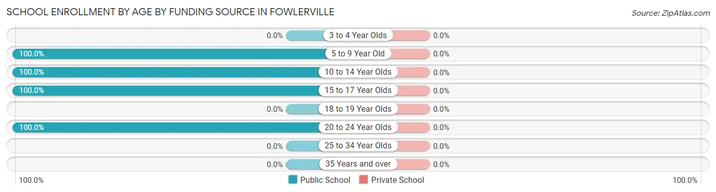 School Enrollment by Age by Funding Source in Fowlerville