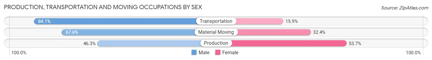 Production, Transportation and Moving Occupations by Sex in Freeport