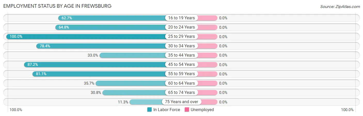 Employment Status by Age in Frewsburg