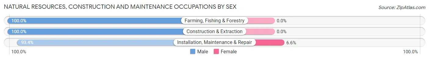 Natural Resources, Construction and Maintenance Occupations by Sex in Gananda