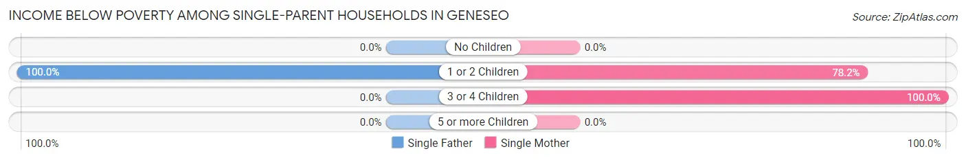 Income Below Poverty Among Single-Parent Households in Geneseo