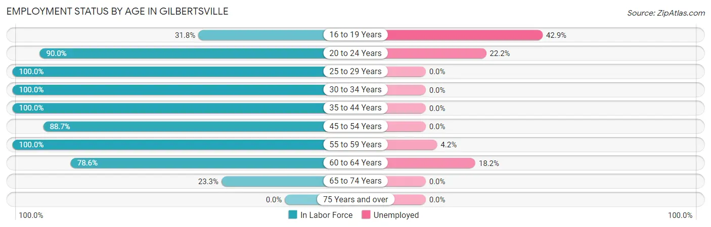 Employment Status by Age in Gilbertsville