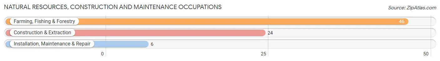 Natural Resources, Construction and Maintenance Occupations in Glenwood Landing