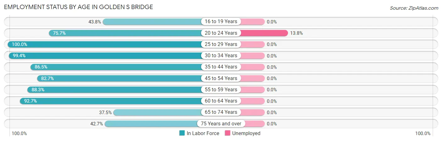 Employment Status by Age in Golden s Bridge