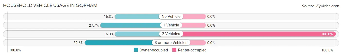 Household Vehicle Usage in Gorham