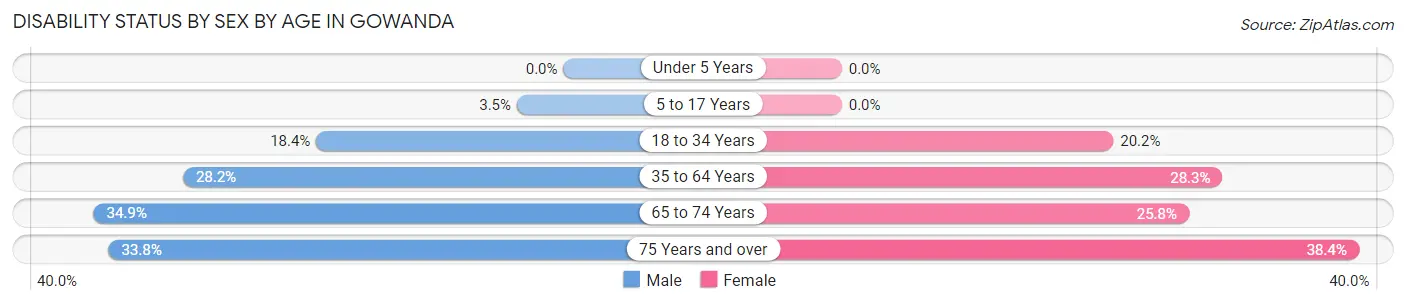 Disability Status by Sex by Age in Gowanda