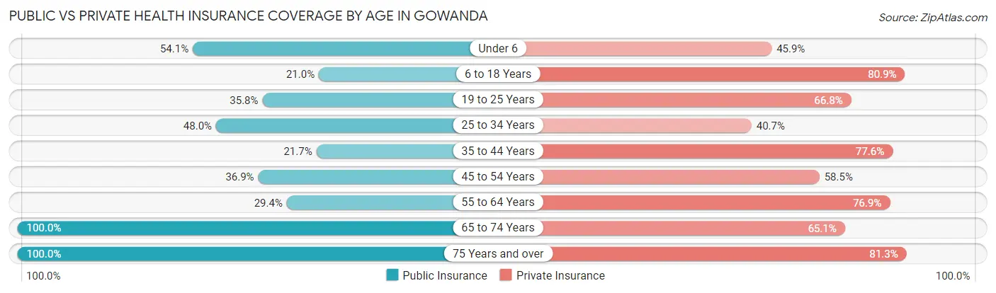 Public vs Private Health Insurance Coverage by Age in Gowanda