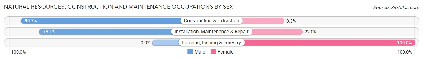 Natural Resources, Construction and Maintenance Occupations by Sex in Greenwich