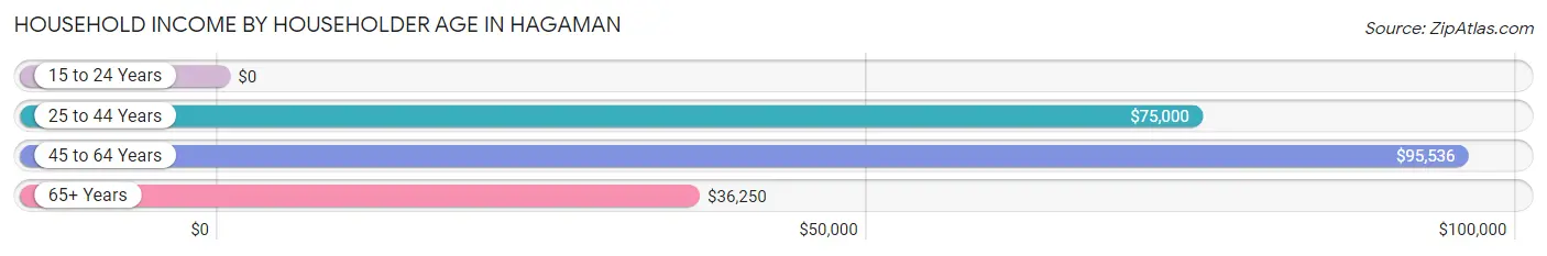 Household Income by Householder Age in Hagaman