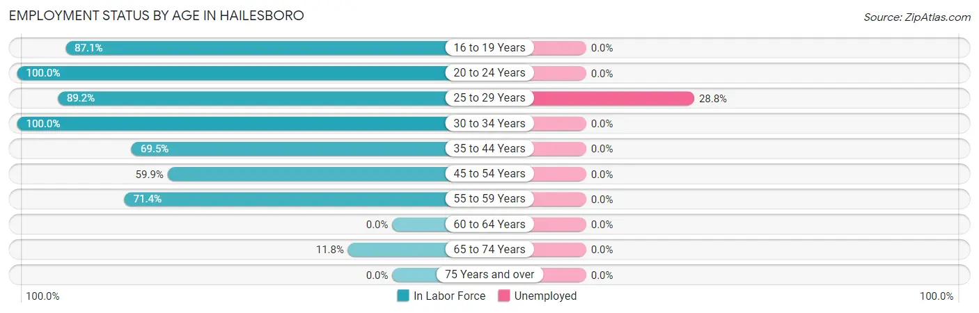 Employment Status by Age in Hailesboro