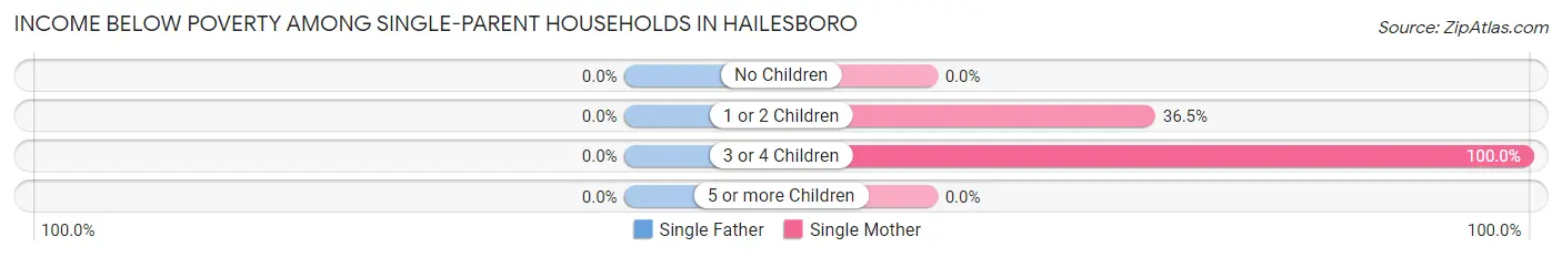 Income Below Poverty Among Single-Parent Households in Hailesboro