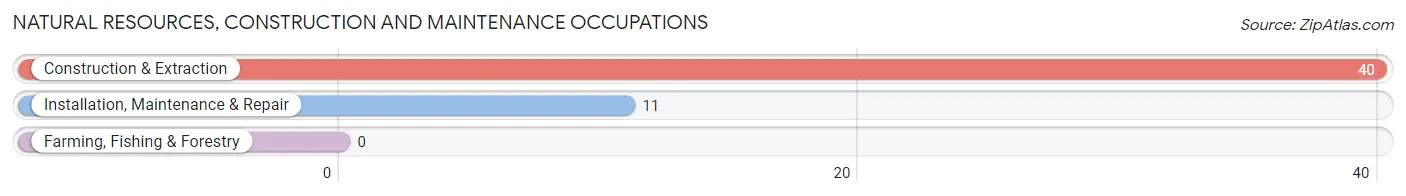 Natural Resources, Construction and Maintenance Occupations in Halesite