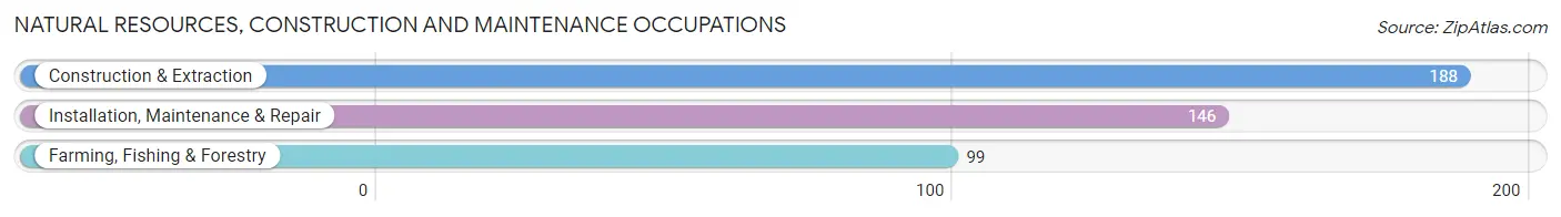 Natural Resources, Construction and Maintenance Occupations in Hamburg