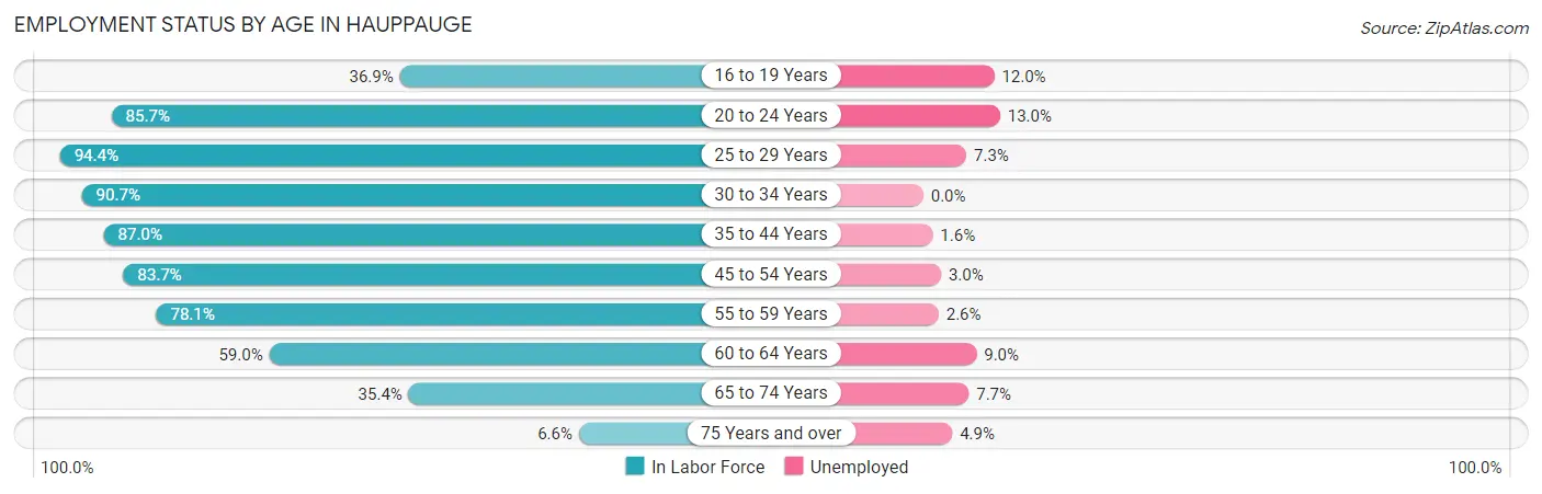 Employment Status by Age in Hauppauge