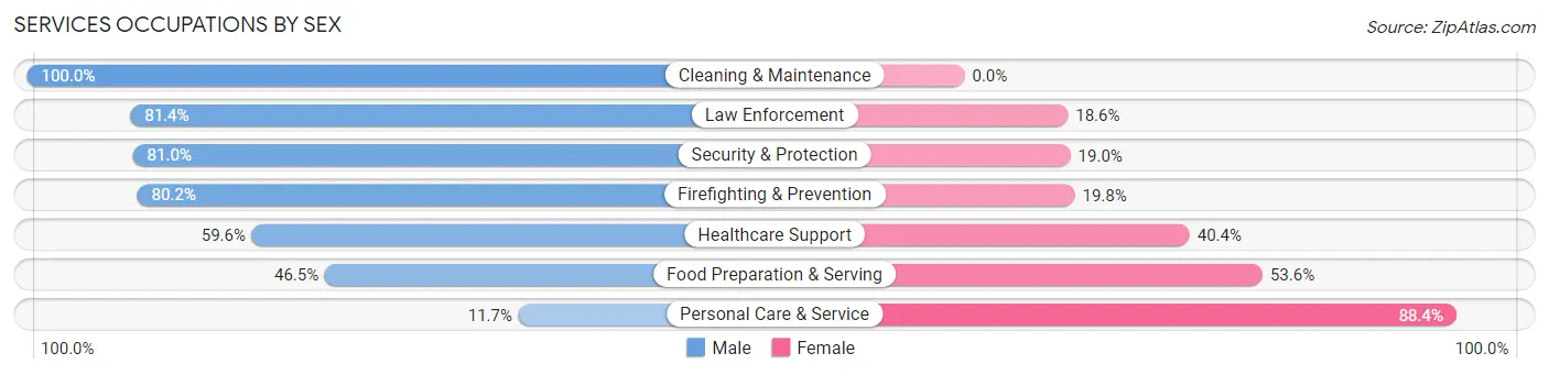 Services Occupations by Sex in Hauppauge