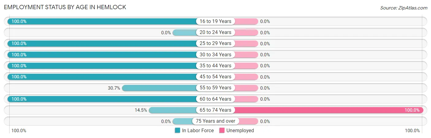 Employment Status by Age in Hemlock