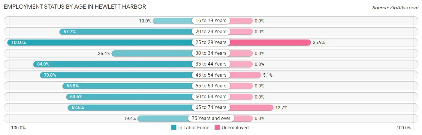 Employment Status by Age in Hewlett Harbor