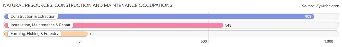 Natural Resources, Construction and Maintenance Occupations in Hicksville