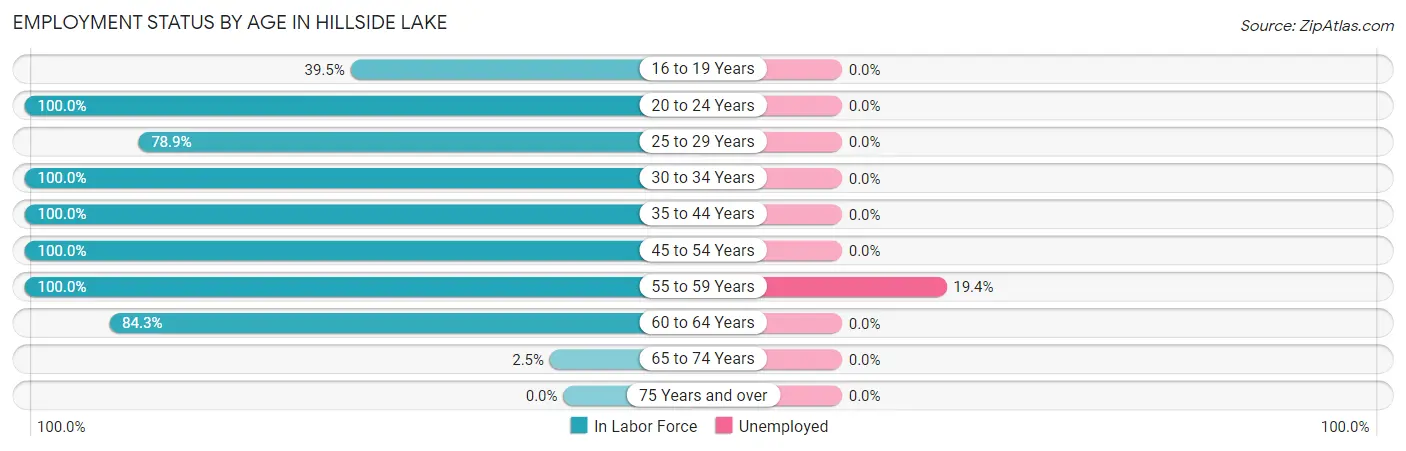Employment Status by Age in Hillside Lake