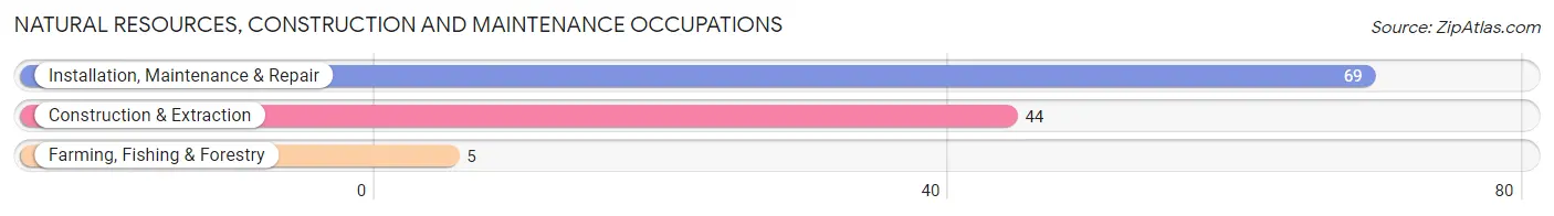 Natural Resources, Construction and Maintenance Occupations in Holley