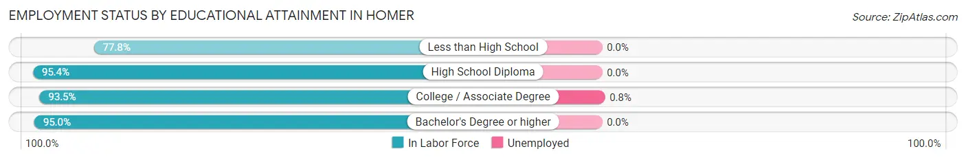 Employment Status by Educational Attainment in Homer