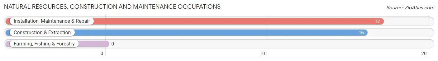 Natural Resources, Construction and Maintenance Occupations in Honeoye