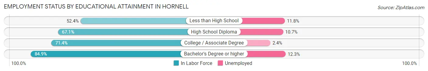 Employment Status by Educational Attainment in Hornell