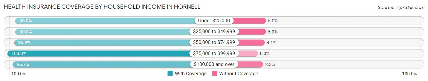 Health Insurance Coverage by Household Income in Hornell