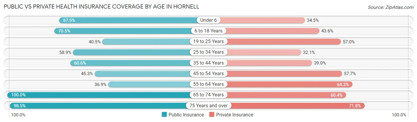 Public vs Private Health Insurance Coverage by Age in Hornell